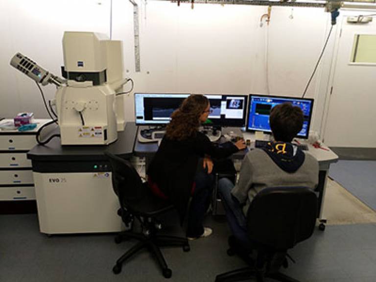 Carl Zeiss EVO 25 scanning electron microscope (SEM) at the UCL Institute of Archaeology
