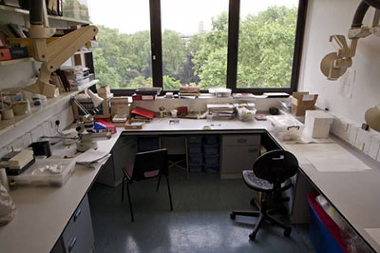 Conservation Research Lab at the UCL Institute of Archaeology
