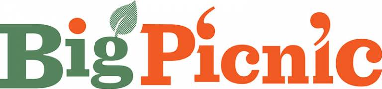 BigPicnic project logo