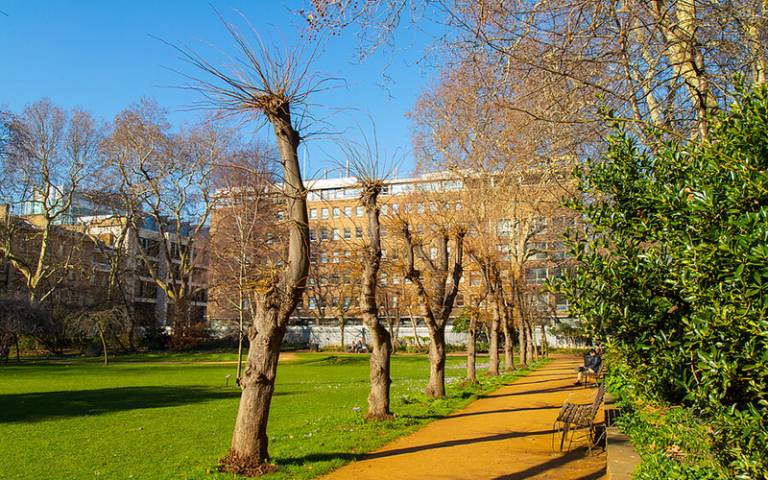 Gordon Square gardens © UCL Digital Media