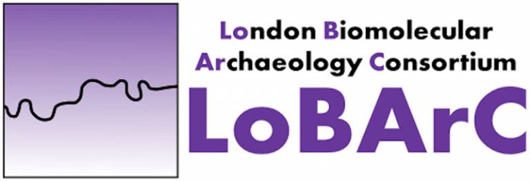 LoBArC logo