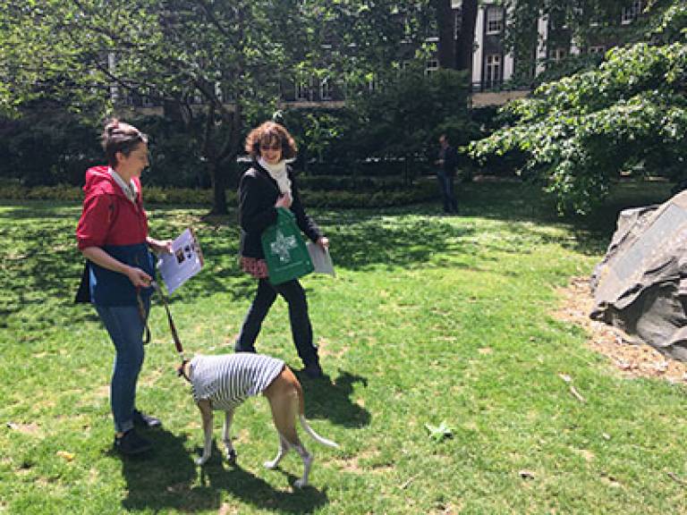 Wellbeing walks open to UCL staff and students being led by Charlotte Frearson (UCL Institute of Archaeology) at selected dates over the summer