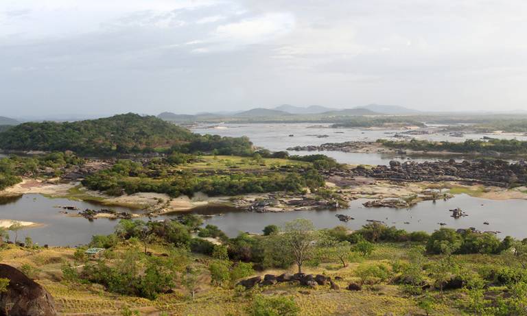 Panorama of Orinoco landscape