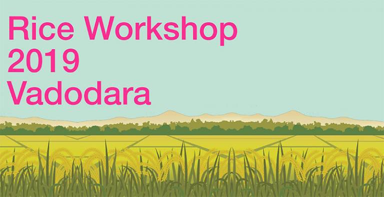 Rice Workshop being held in India (March 2019)