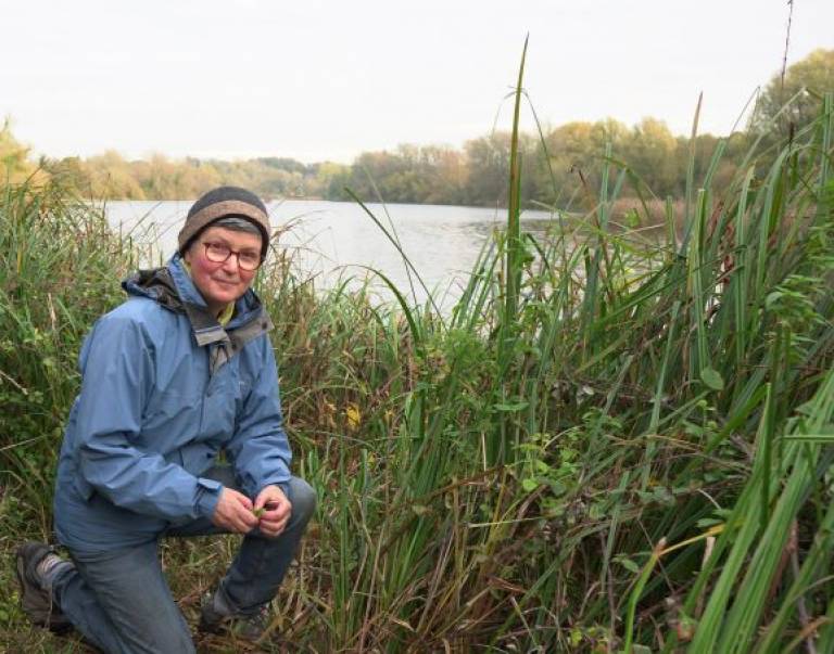 Woman with glasses wearing a blue raincoat and grey beany hat, kneeling beside the edge of a lake/body of water beside reeds and other grasses/brambles