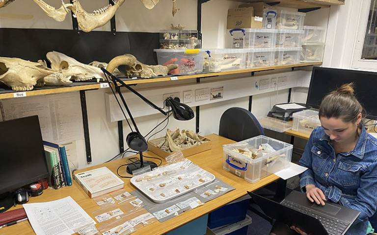 Zooarchaeology Research Laboratory