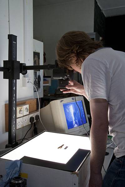 UCL Institute of Archaeology Photographic Lab