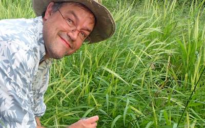 Dorian Fuller, wearing a hat, glasses and a grey ad white short in a field of green (wild rice crop)