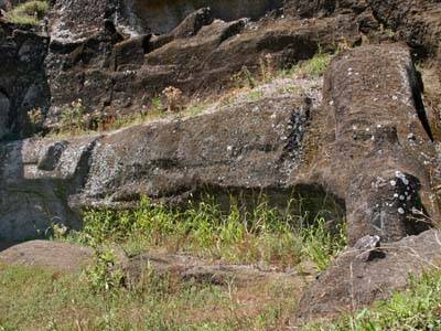 Rano Raraku statues attached to bedrock