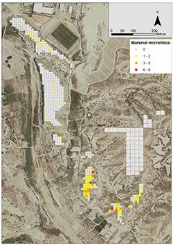 Figure 5: Lithic Density in El Argar Area