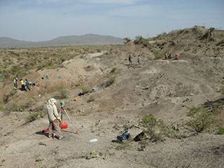Excavations in the Middle Pleistocene of Mieso (Ethiopia)
