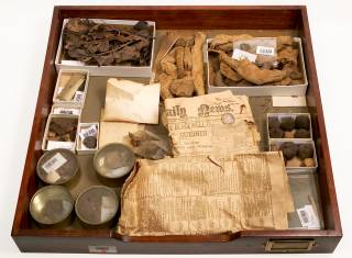 Drawer of archaeological finds in the UCL Petrie Museum of Archaeology