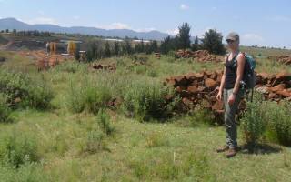 Rachel King on fieldwork (Image: Nthabiseng Mokoena)