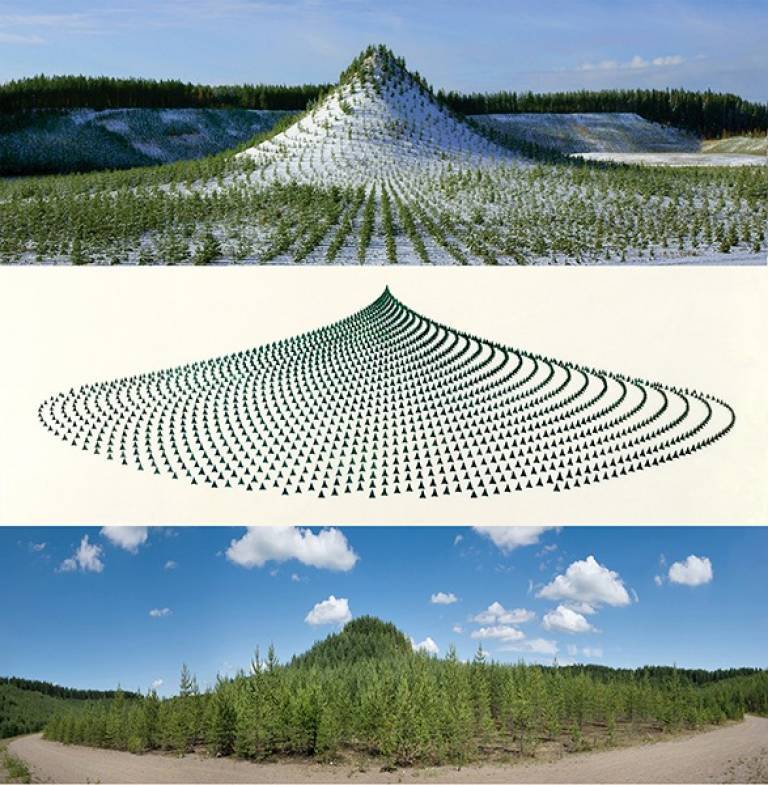 Agnes Denes, Tree Mountain - A Living Time Capsule - 11,000 Trees, 11,000 People, 400 Years (Triptych), 1992-96/2013, Chromogenic print, 80 x 82 cm