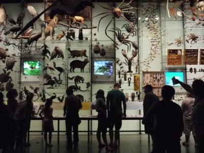 Hall of Biodiversity, American Museum of Natural History, New York 2011