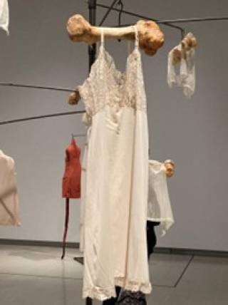 Fig 2 Louise Bourgeois’ nightgown in the Untitled (1996) Pole.