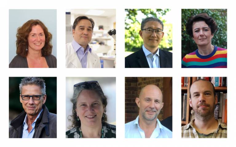 Eight Senior UCL Researchers