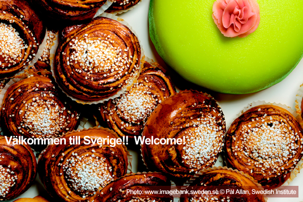 Welcome to the Swedish Taster Site!