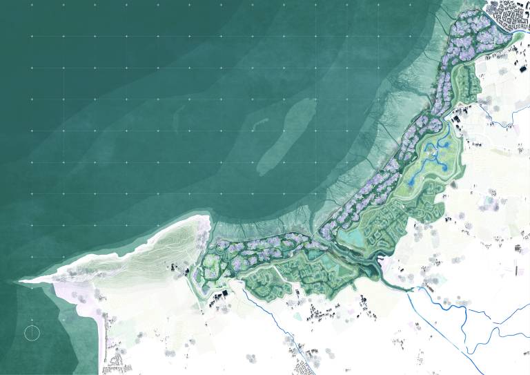 Rewilding Coastal Landscapes - Saltmarsh Habitats as a Flood Mitigation Probiotic Agent