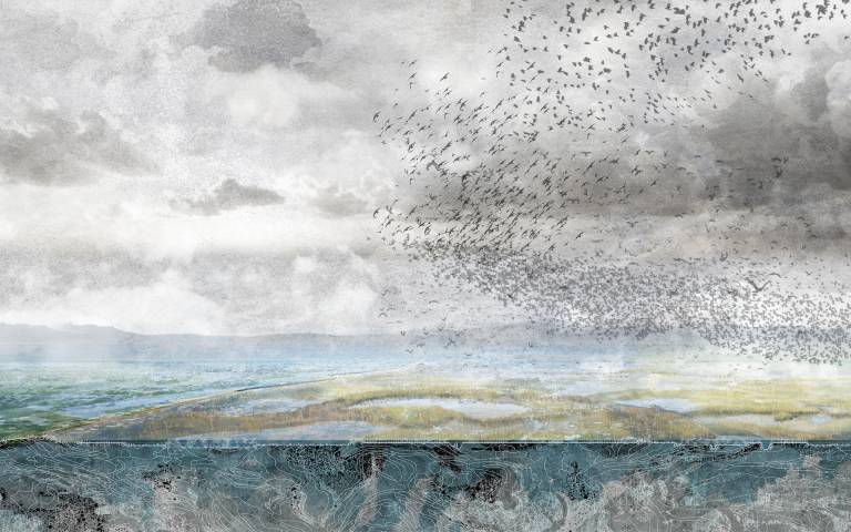 Image: 'Rewilding Coastal Landscapes - Saltmarsh Habitats as a Flood Mitigation Probiotic Agent' by Valentina Caro Beveridge, Landscape Architecture MA, Studio 3
