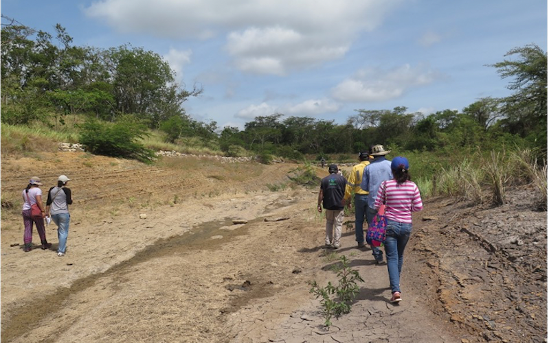 Institutional and international delegation walking on the new bed of the Arroyo Bruno, diverted by Cerrejón 2019. Photo by Diana Salazar.   