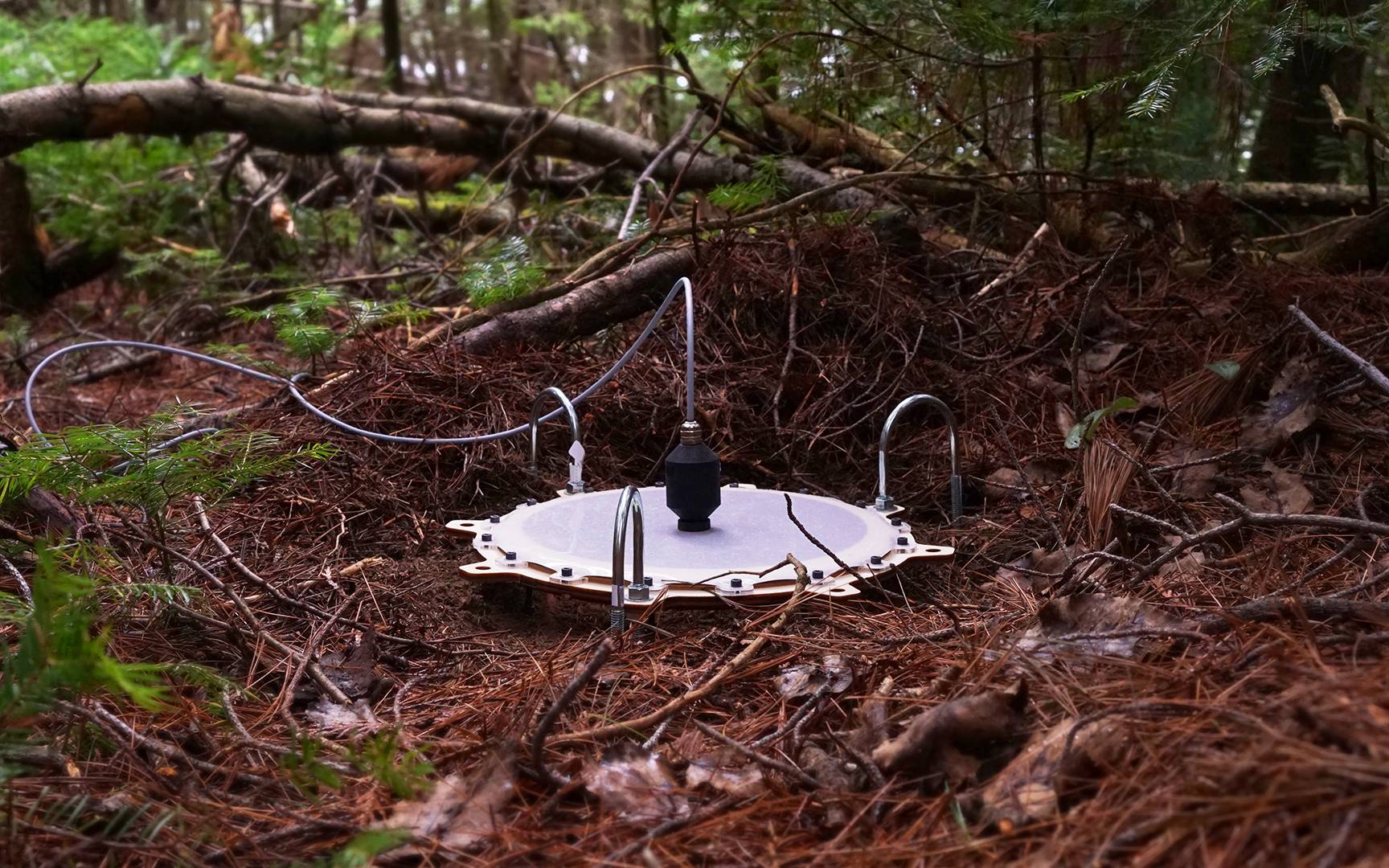 Image: ‘Earth Skin’ in situ during field recording experiments - Ontario, Canada, 2023 (Photo: Jonathan Tyrrell) 