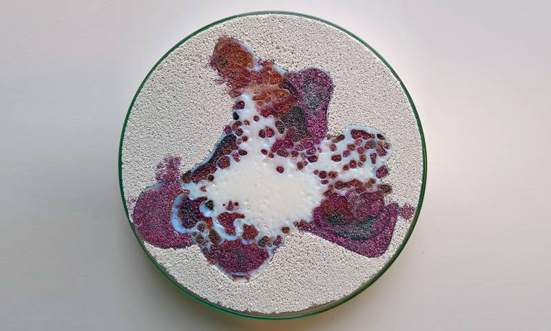 Petri dish with coloured sand