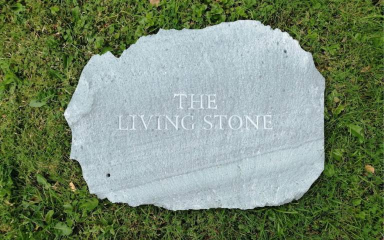 The living stone exhibition