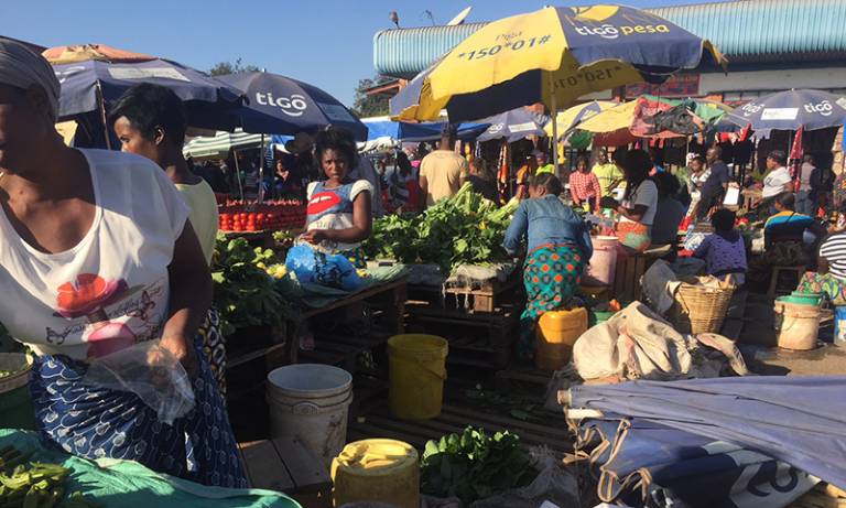 Stigmatising informal food retailers in African cities