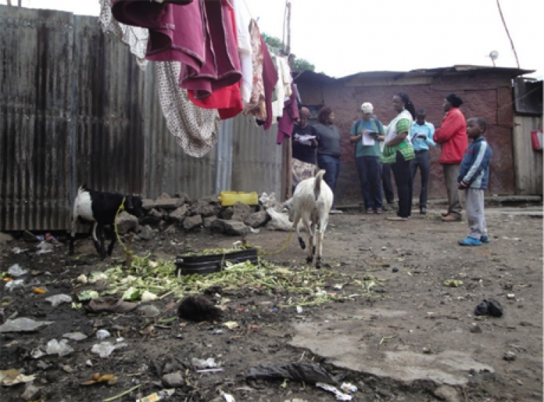 Zoonoses research in Nairobi, Kenya, November 2013