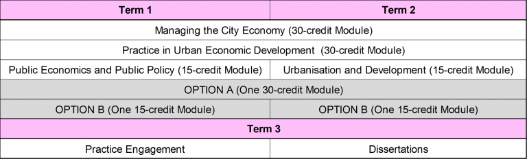 A diagram illustrating the programme structure of the Urban Economic Development MSc