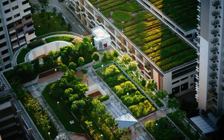 Aerial view of white city buildings showing lots of trees and greenery