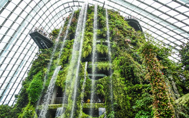Indoor waterfall at Cloud Forest, Singapore.
