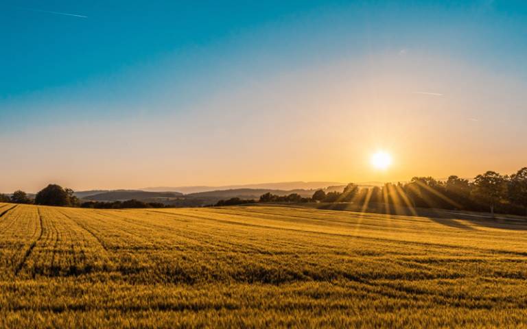 Sun rising over arable field - Photo by Federico Respini on Unsplash