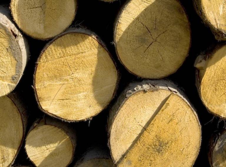 Wood logs (c) sxc