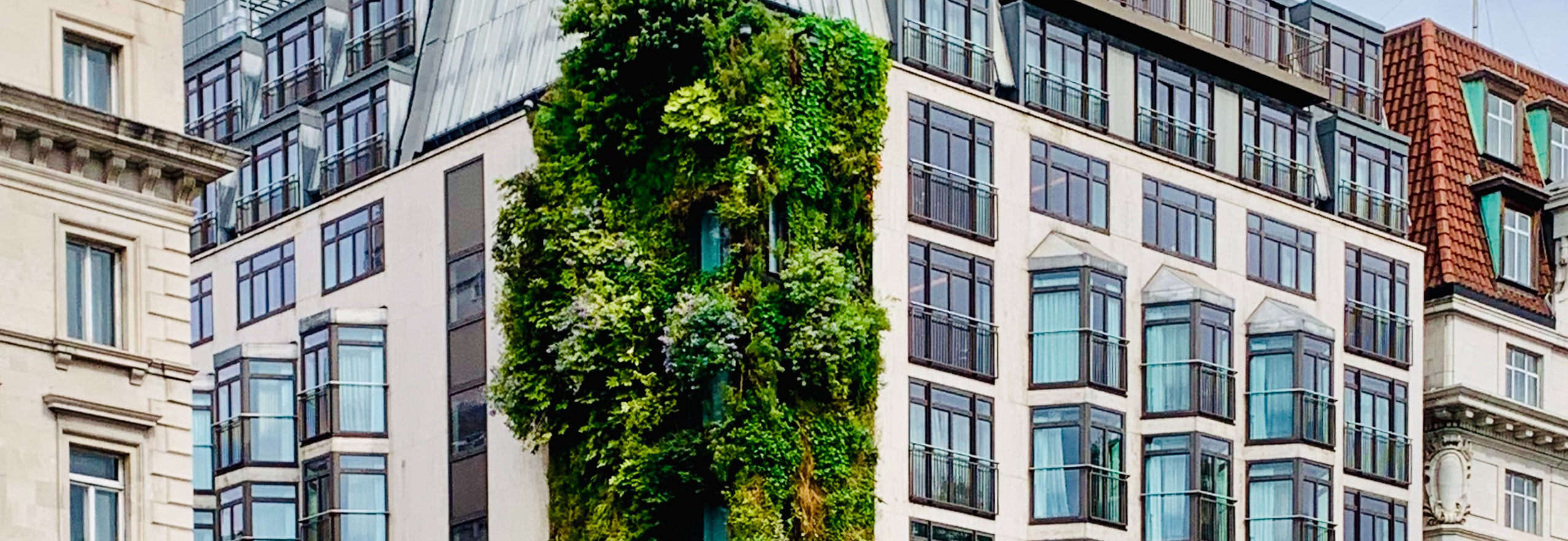 Green wall installation on the side of a building