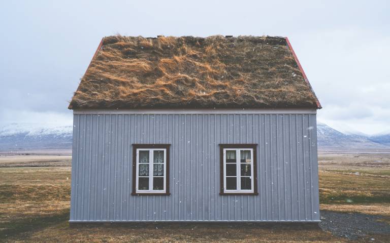Wooden house with grass roof