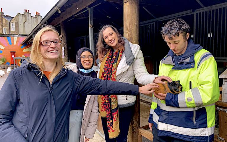 Researchers involved in the Evaluation Exchange learn about Kentish Town City Farm