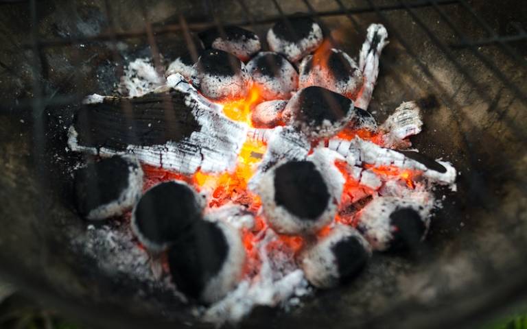 Image of grilling over a fire