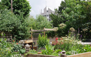 Garden with raised beds and a building at the back between trees 