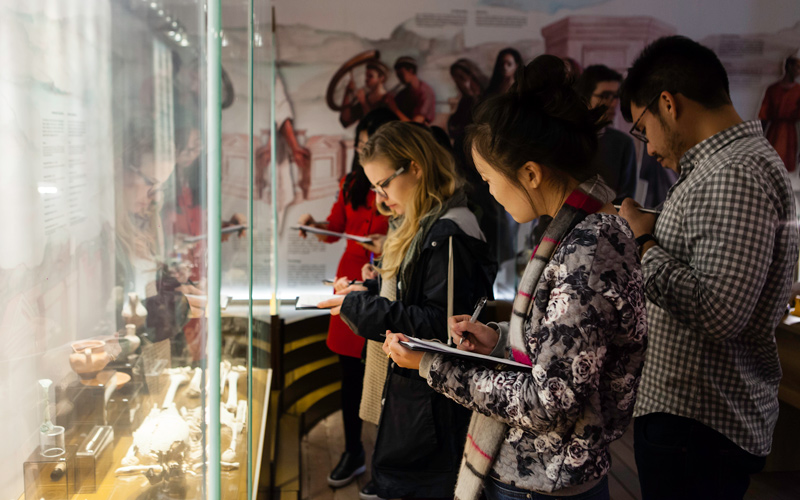 Students looking at museum exhibits in Malta