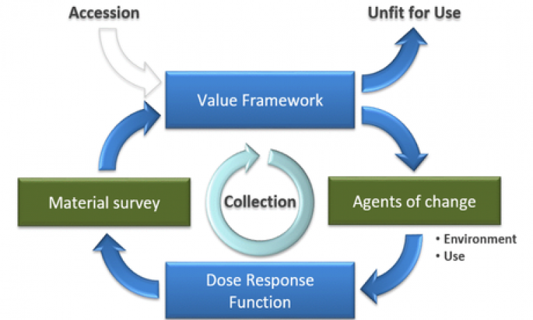 Collections Demography graph