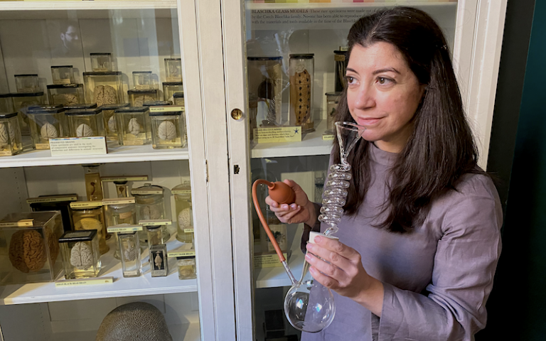Image of a UCL Museum staff member holding a lab tool next to a display cabinet
