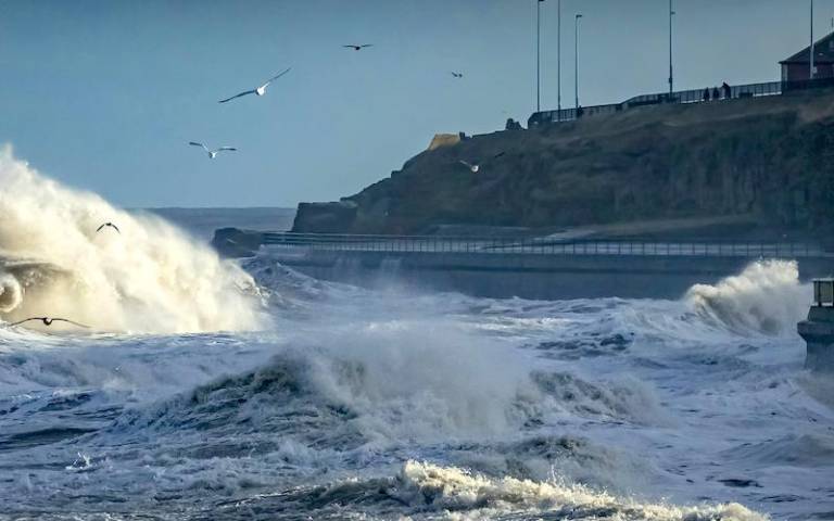 Image of waves crashing onto shorefront buildings
