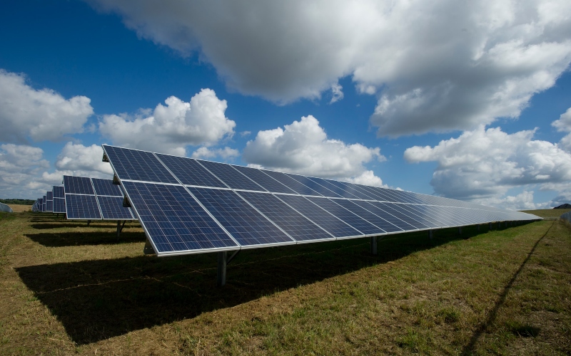 Solar panels in rows in a field