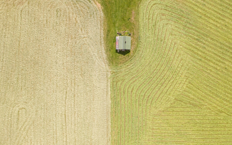 Crop fields pictured from above