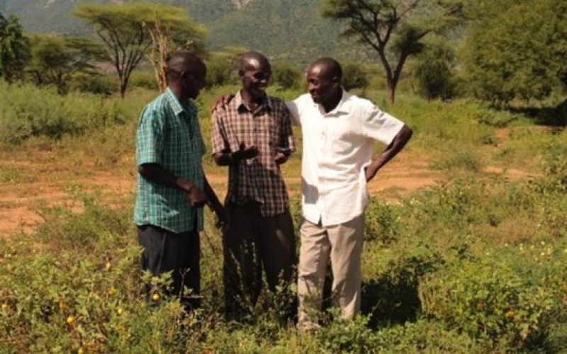 Three men talk in a field in Elgeyo-Marakwet, Kenya