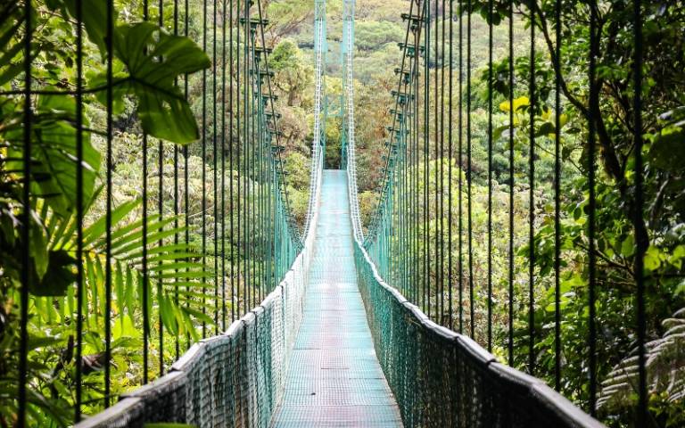 Bridge in the rainforest in Costa Rica