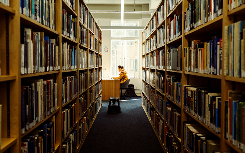 Photo of a student working in The Bartlett Library