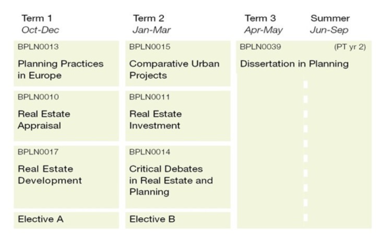 International Real Estate and Planning MSc course structure